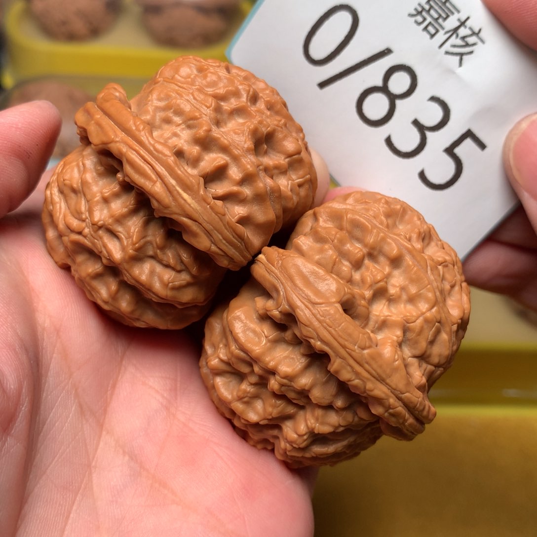 文玩核桃把件红皮粗筋数百45