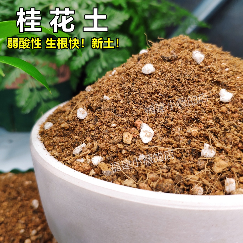 桂花专用土疏松透气弱酸性通用型盆栽花卉营养土适用木本绿植新土
