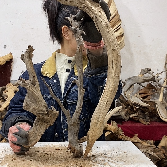 ∽***∽柏木我们都是好孩子