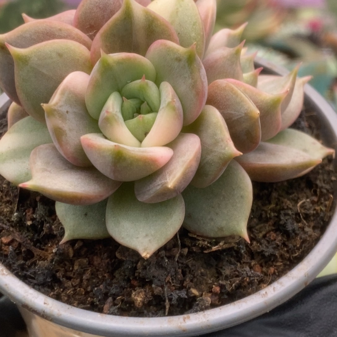 725贝加尔湖锦锦锦锦锦锦