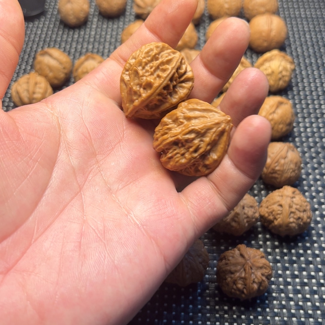****文玩核桃把件粗筋八棱