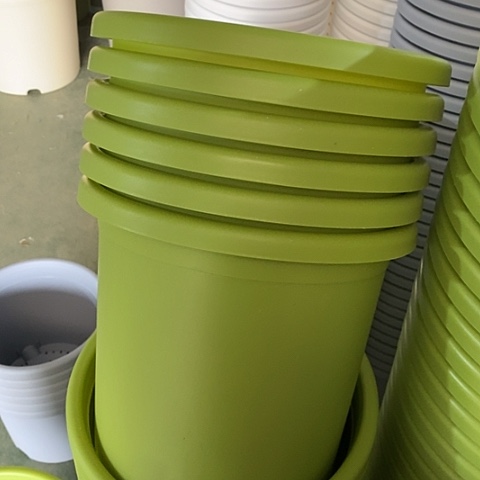 树脂特价5号6个无托果绿