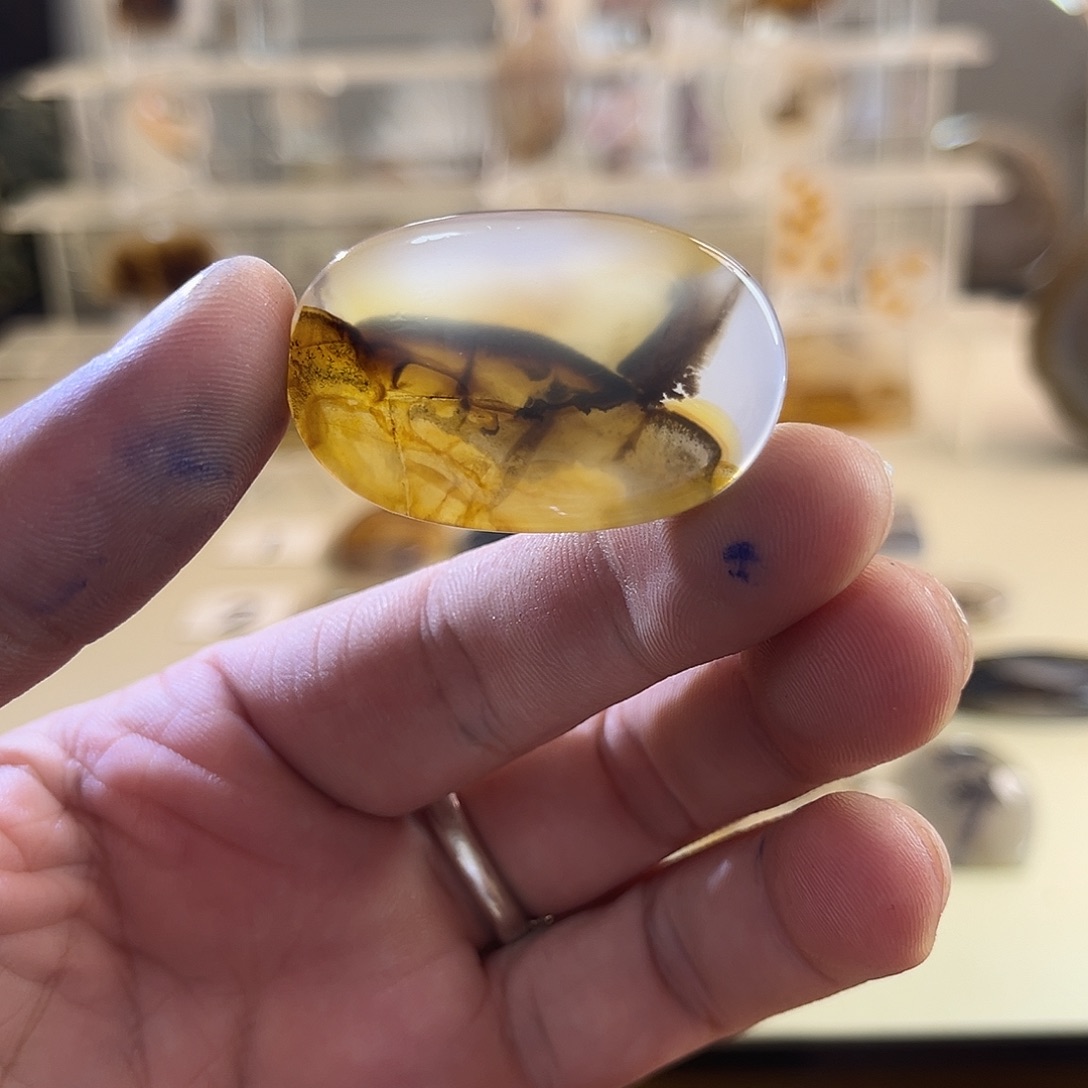 玛瑙/玉髓吊坠(不含链)未镶嵌