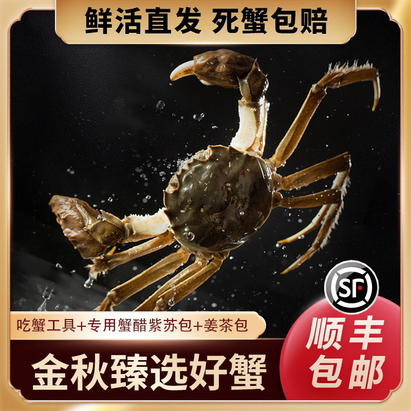 【公母对半】江苏大闸蟹2两母3两公3/4/5对鲜活现货螃蟹礼盒