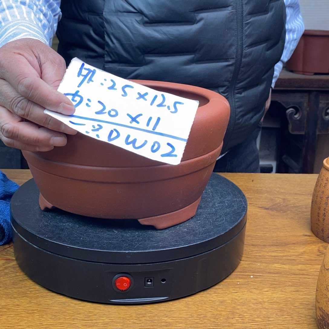 红陶货号一只DW02