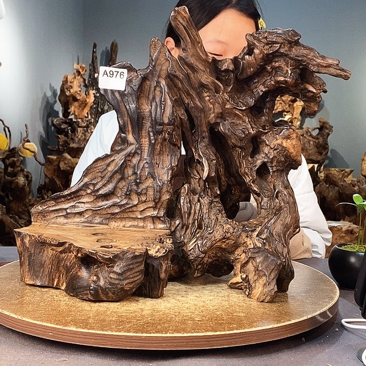 茶盏西*976株木的随行的根艺