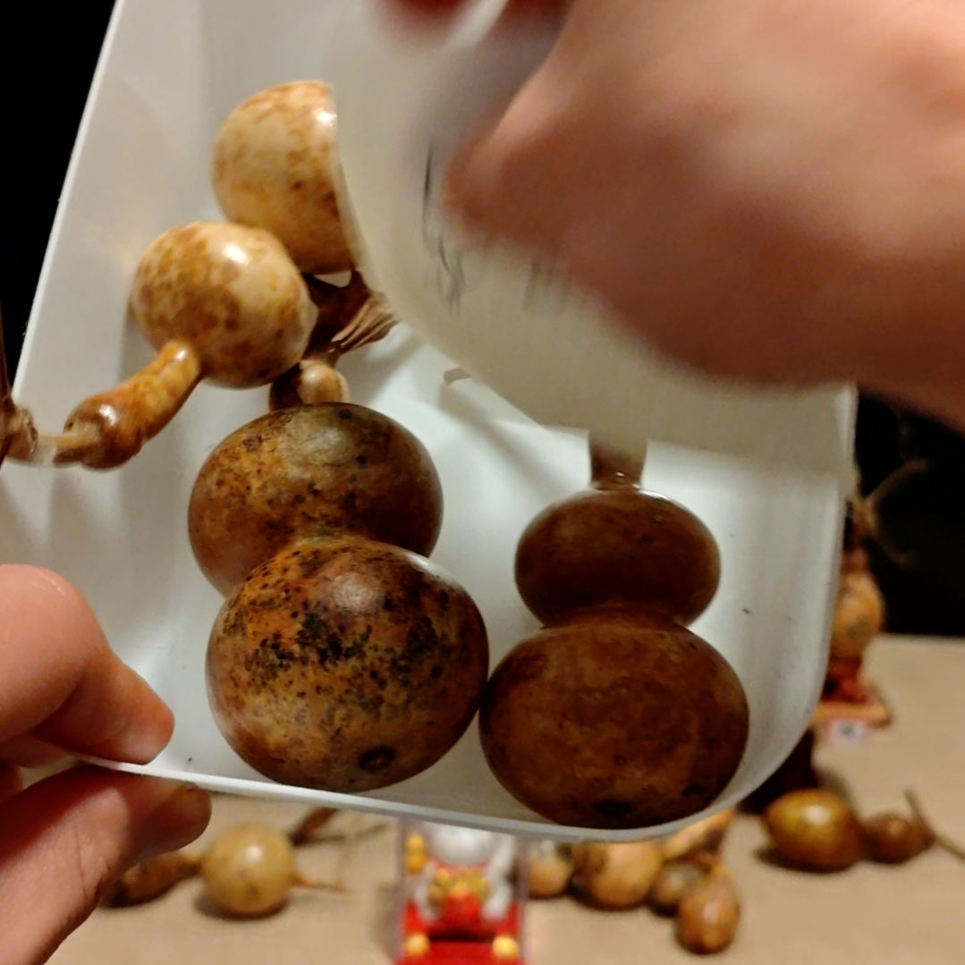 用***1直播间专拍葫芦葫芦