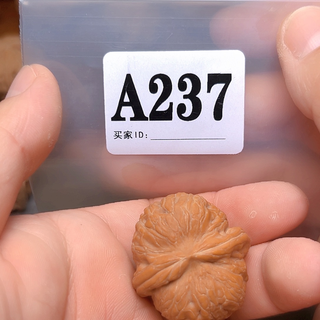 文玩核桃吊坠36➕元宝