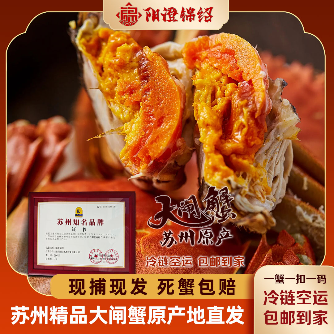 【活蟹】公5.0-4.7两母4.0-3.7两苏州精品大闸蟹6只+2只螃蟹海鲜商品图