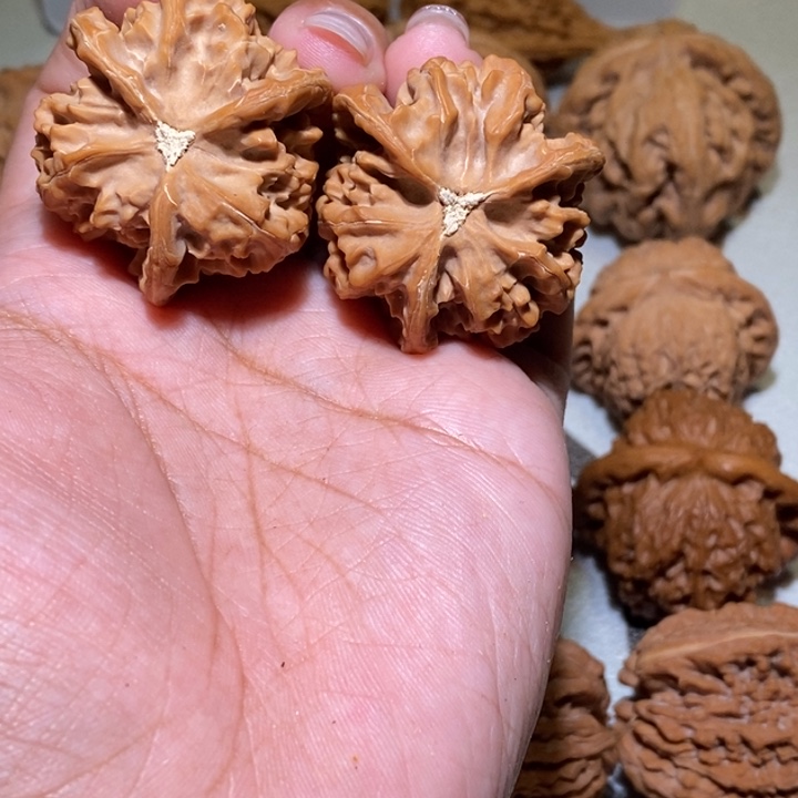 爱***呆核桃手串/手链三棱