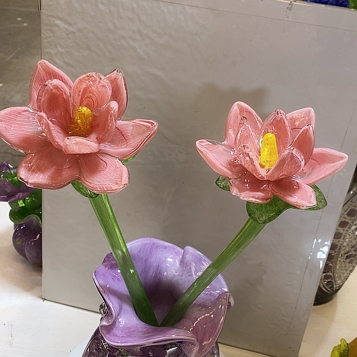 两只荷花高43厘米左右