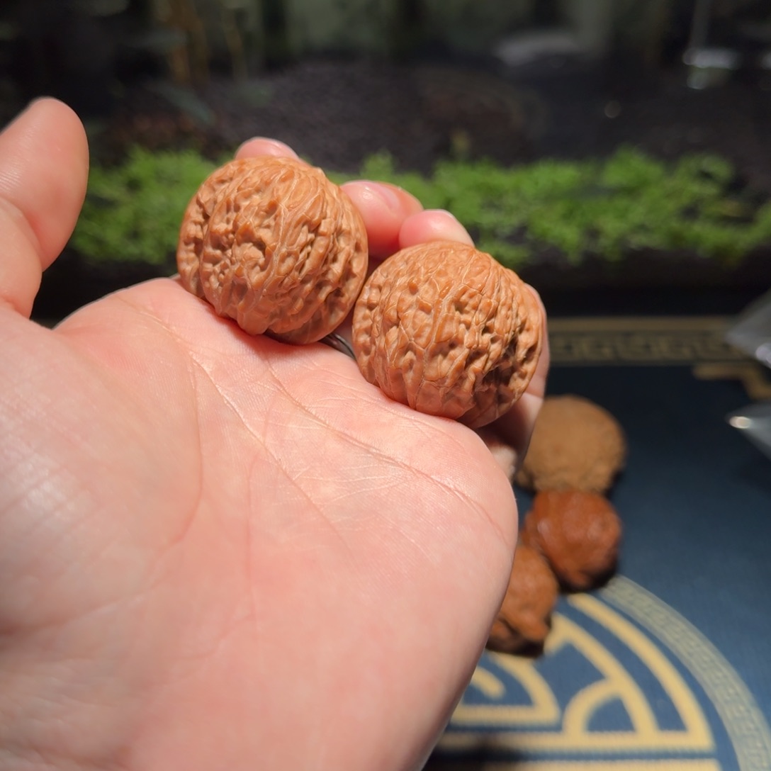 228号35磨盘狮子头文玩核桃