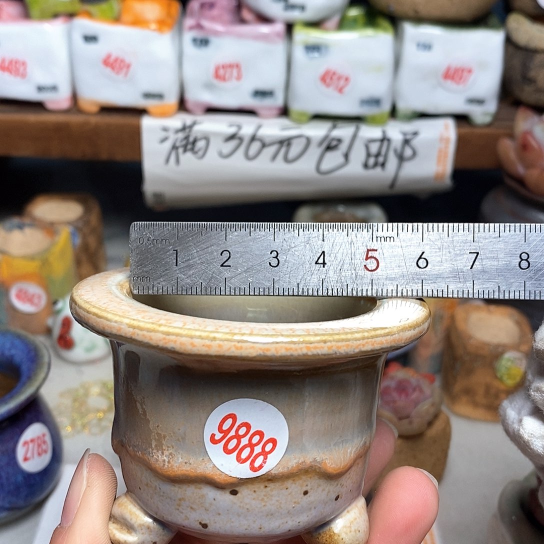 红陶拍5送一个小