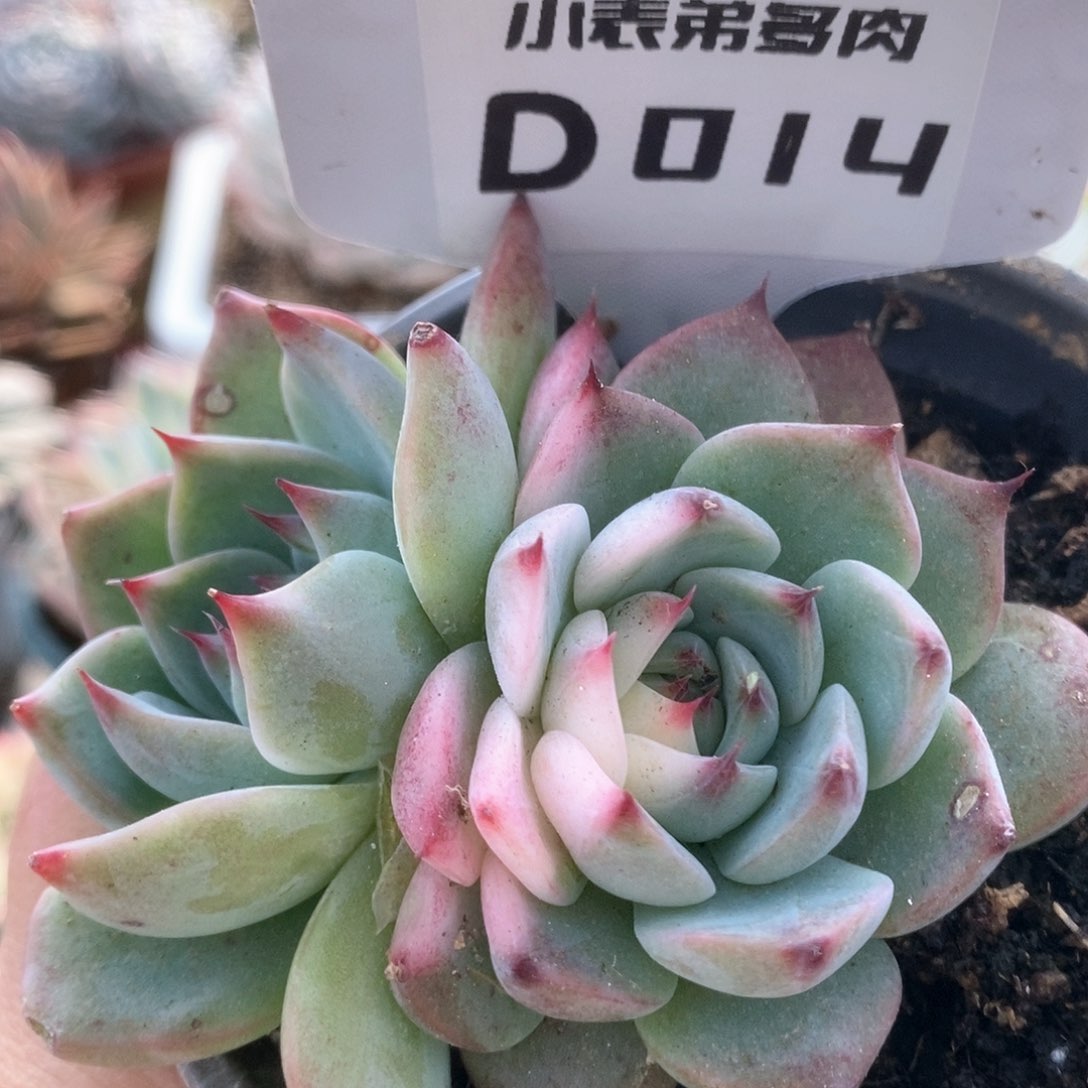 014哈哈哈哈哈哈哈哈哈哈