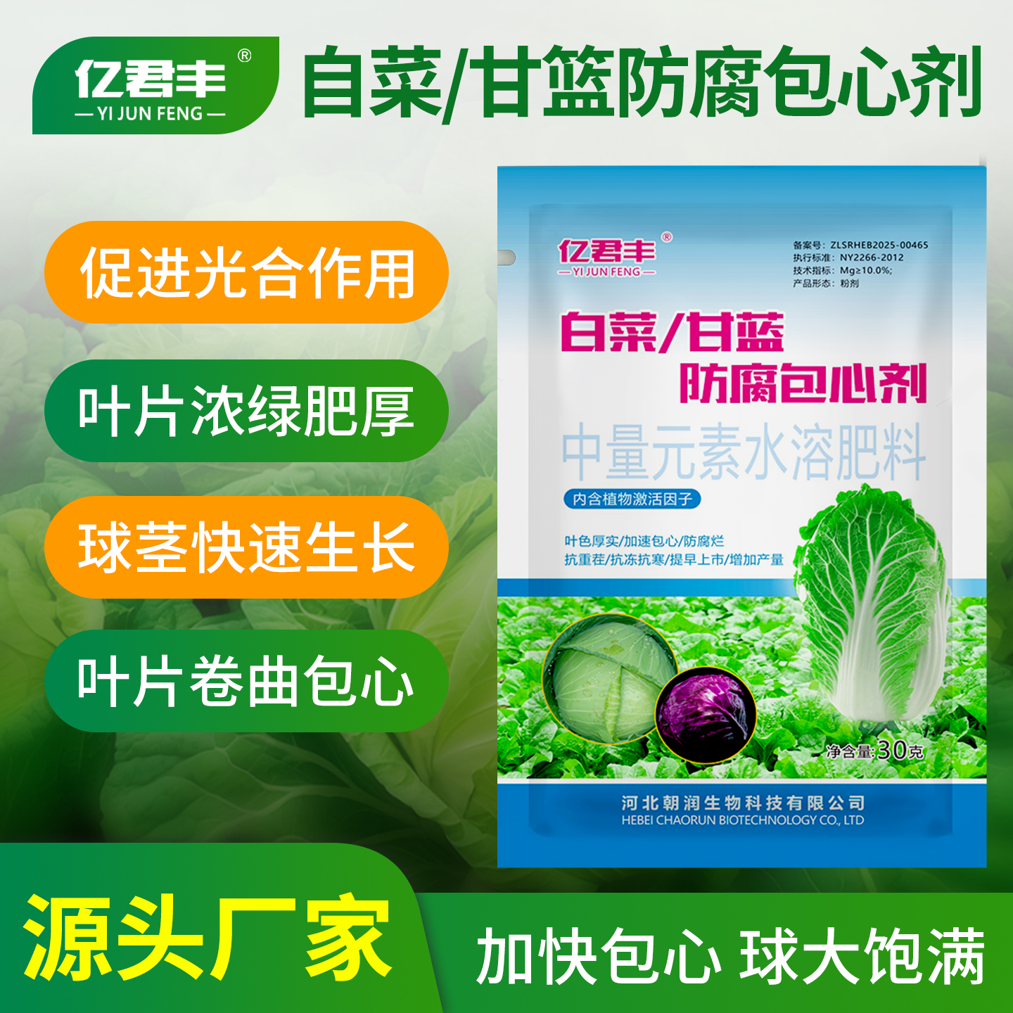 白菜防腐包心剂甘蓝速长生长抗寒抗旱防烂心专用叶面肥料