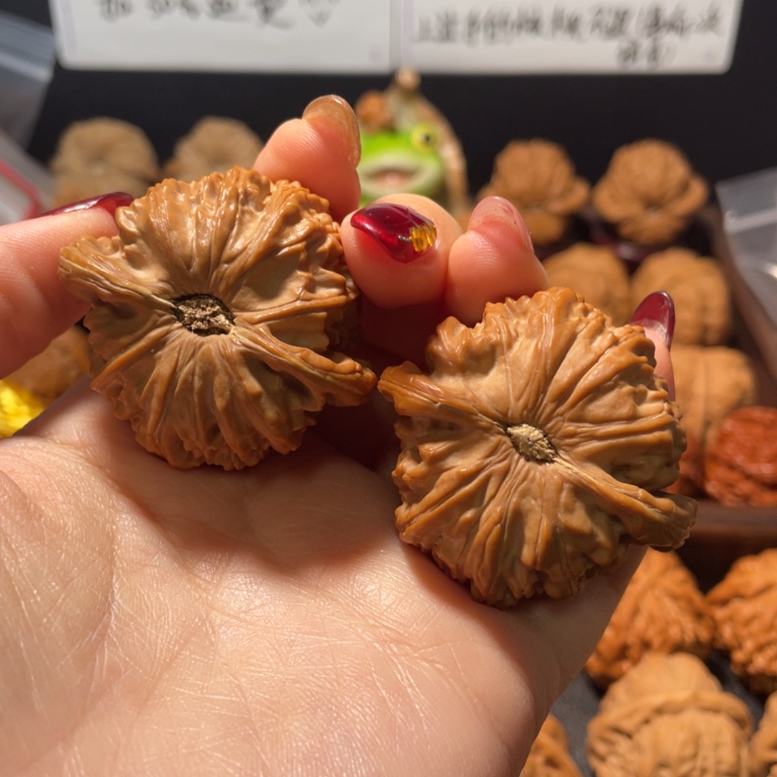 日***财核桃手串/手链狮子45