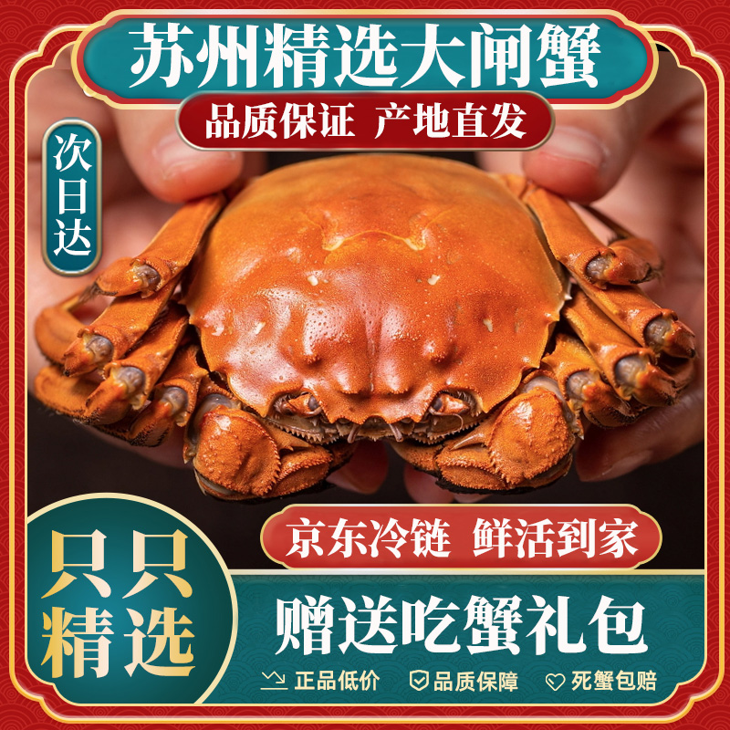  【活蟹现发】鲜活大闸蟹 公5.0-4.7母4.0-3.7两 6只/8只/10只