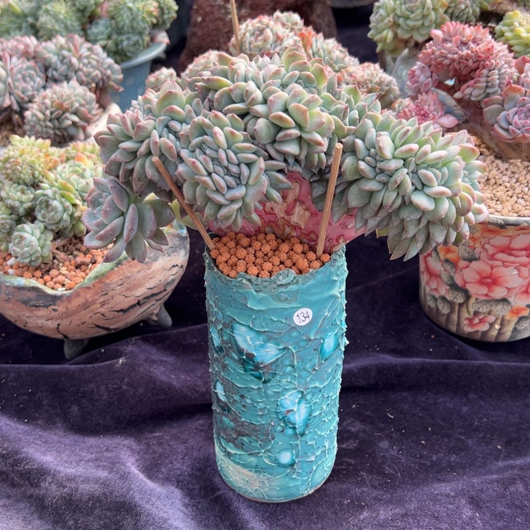 娜***艺新年快乐 新年快乐 ，