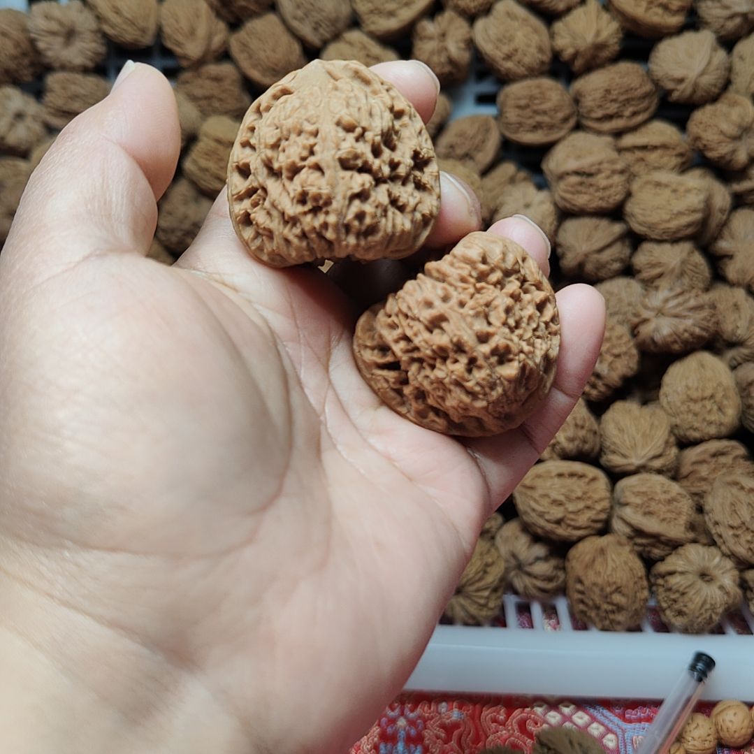 蛋***肉南疆石狮子头一物一图