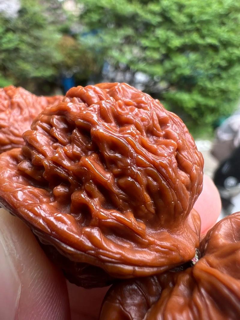 文玩核桃通用价格
