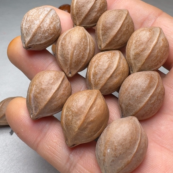 橄榄核手串/手链橄榄核1.9✖️2.6