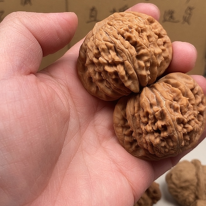 格***道木质类19.19.19.19.190