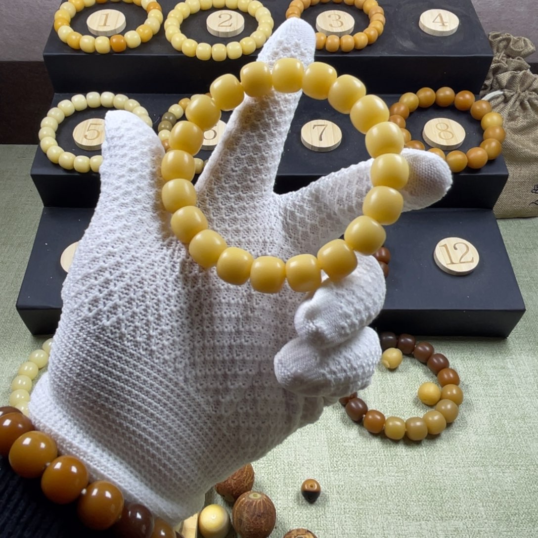 手串菩提根/象牙果