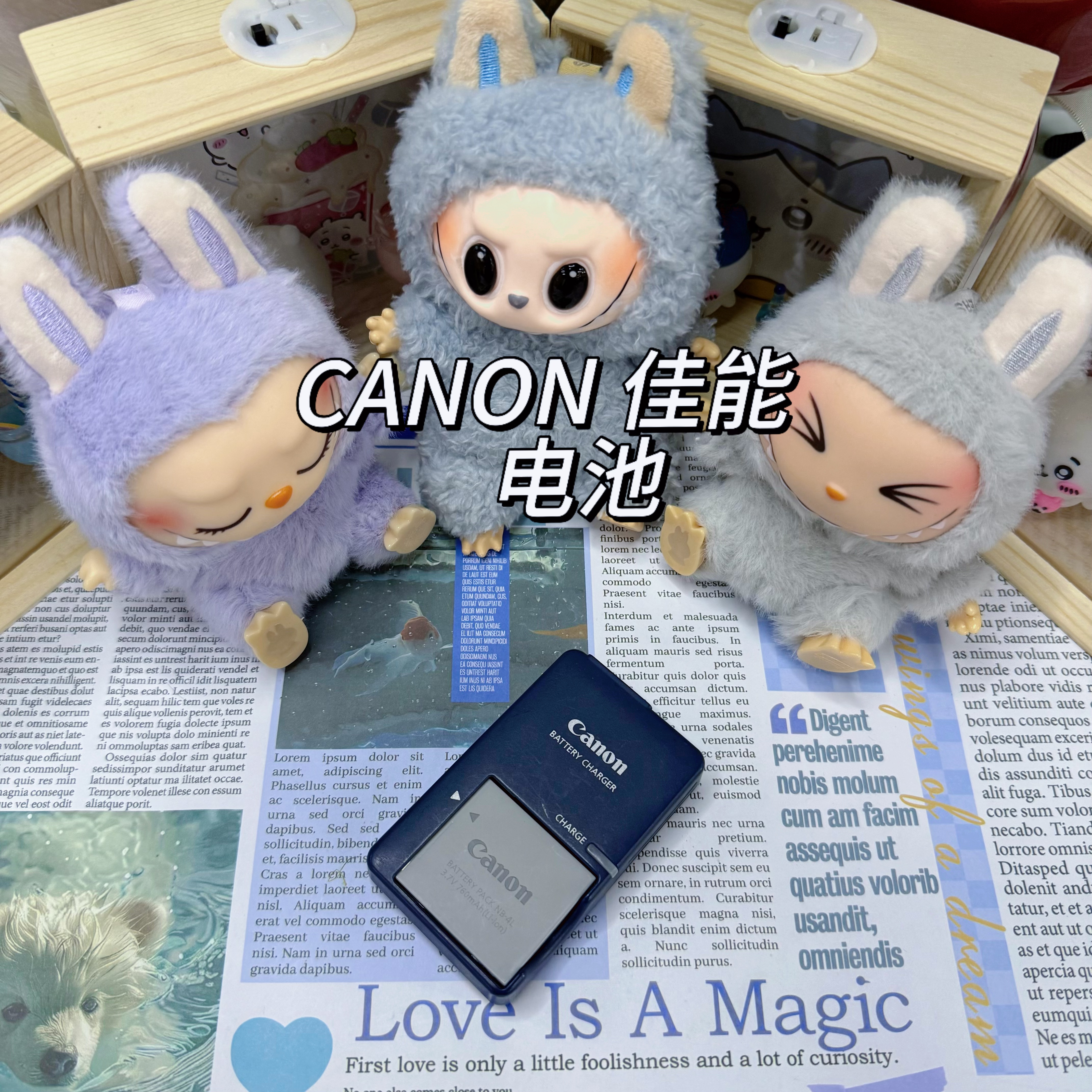 未拆封 Canon/佳能 电池（未下单勿拍）