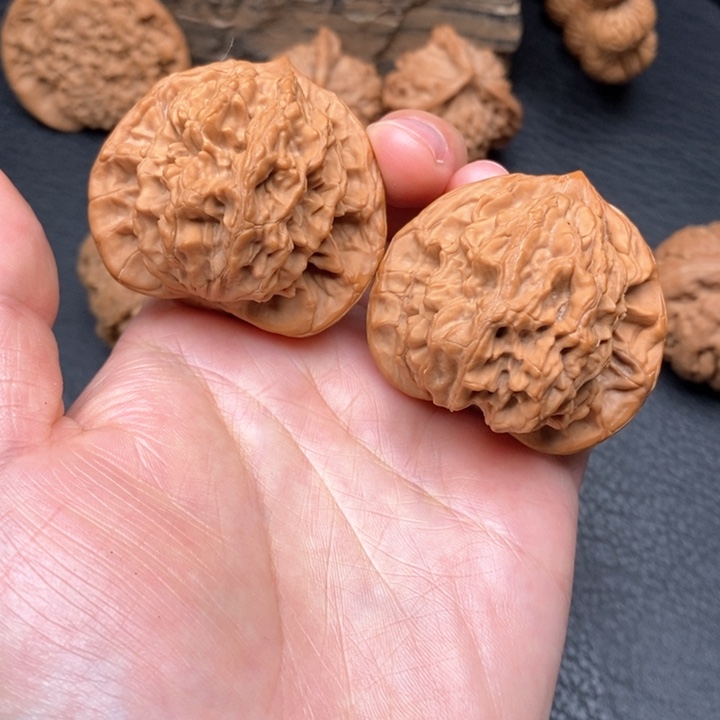 桃核把件尺寸44狮虎兽
