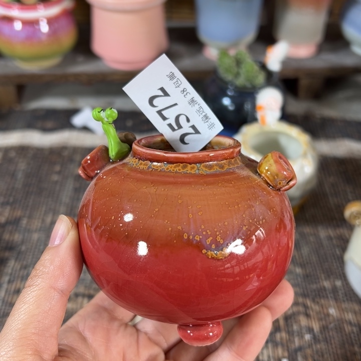 口4高6 ……手工花盆满30元包邮