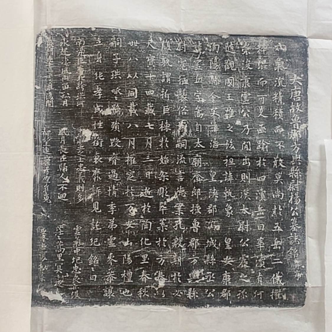 【闪购商品】拓片用纸其他开播福利