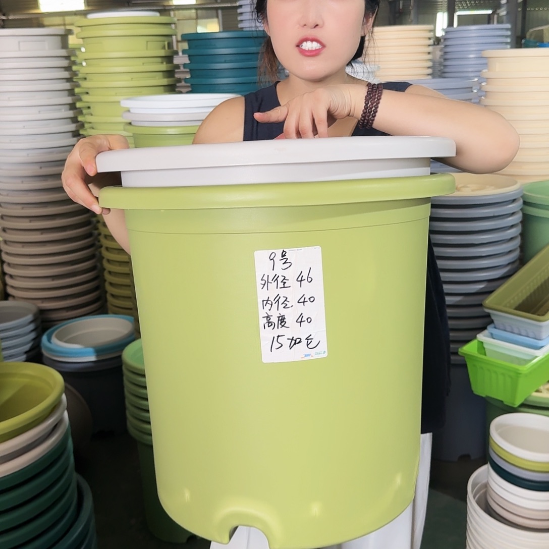 微瑕9#口径46无拖果绿3个