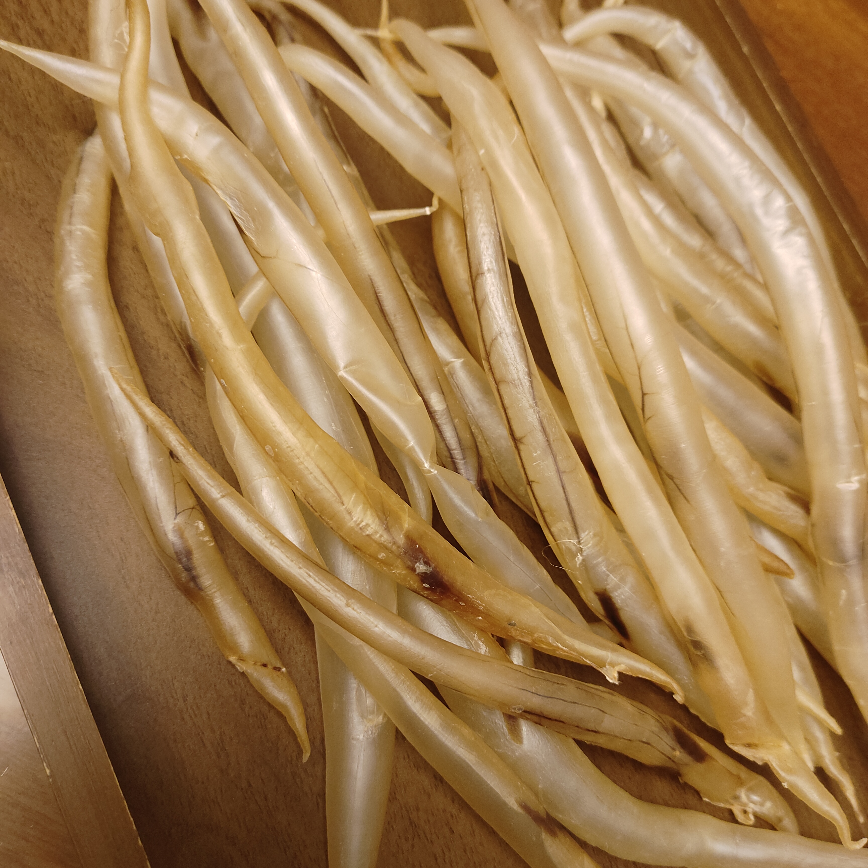 300多头本港自晒野生鳗鱼胶纯天然无腥味月子滋补佳品