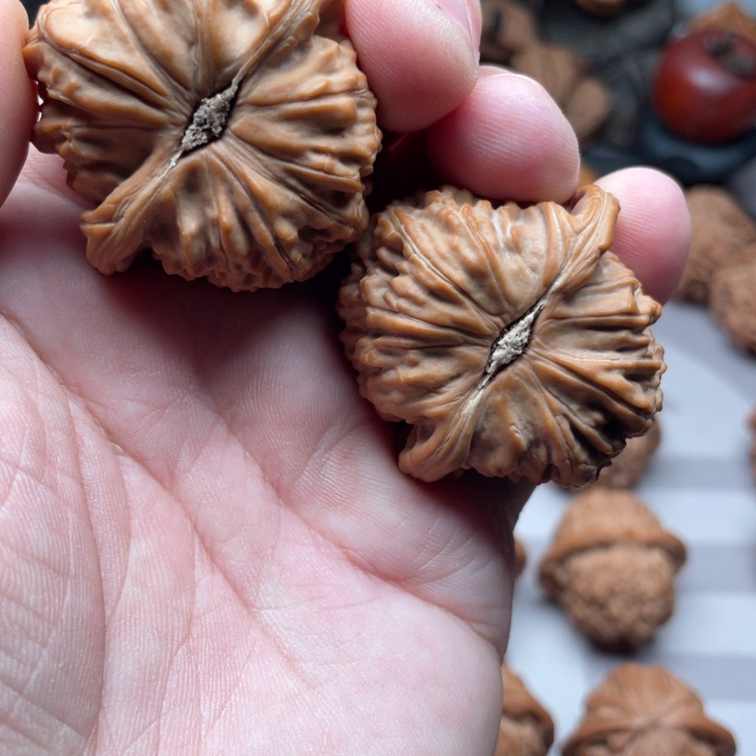 文玩核桃吊坠康*傅白狮子