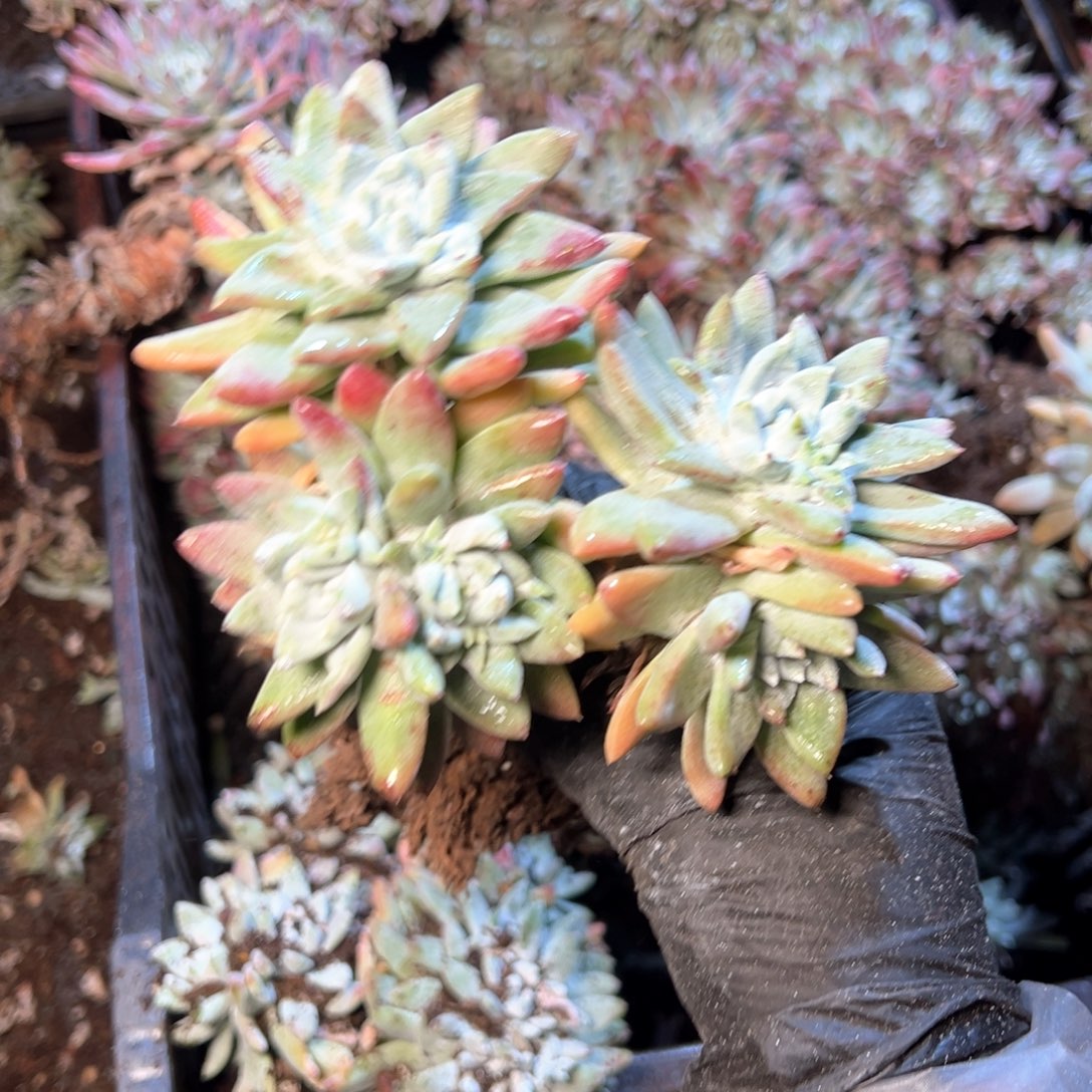 6413哈哈哈哈哈哈哈哈哈