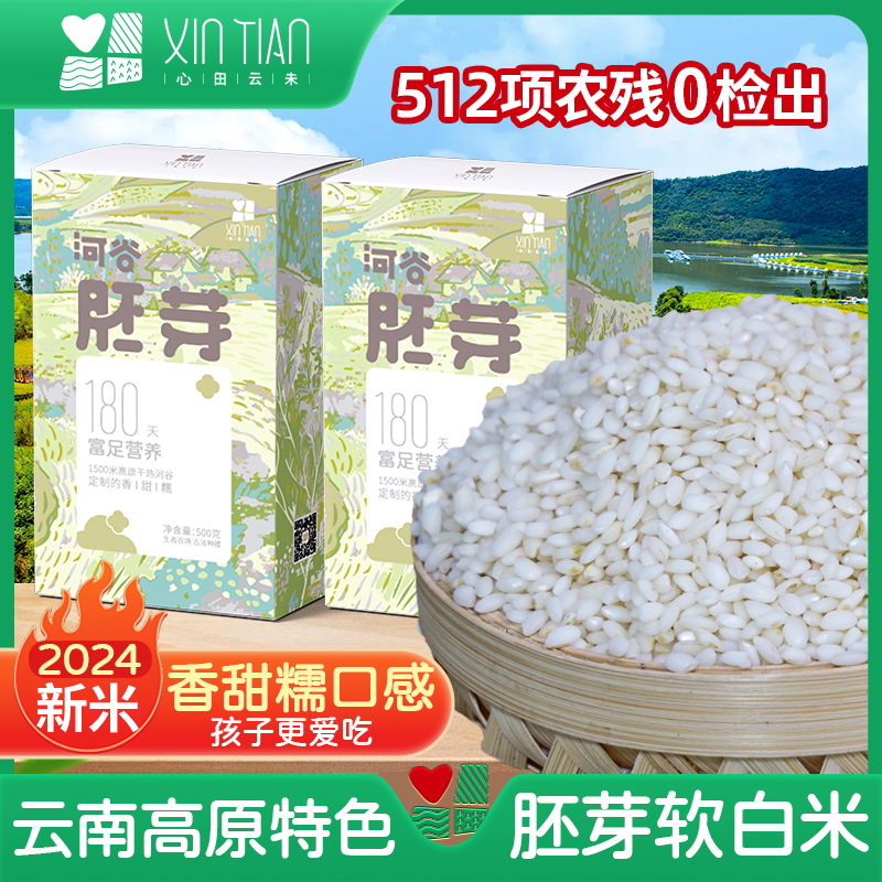 云南特色河谷胚芽米宝宝黄芽米辅食原生态新大白米现碾现发真空装