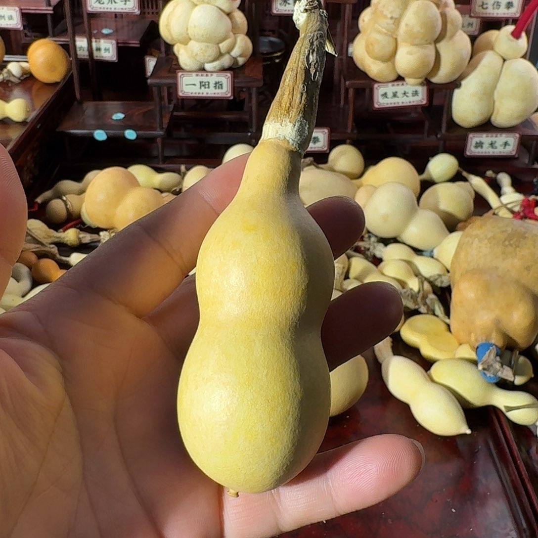 白***长打包一堆厚皮好玩福利