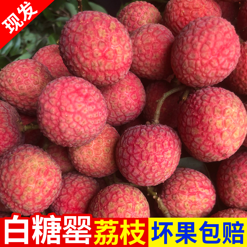 【白糖罂荔枝】清甜多汁竹篮礼盒新鲜老树现摘现发6斤包邮水果-直播