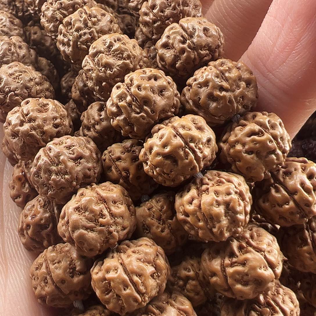 吊坠金刚菩提方墩梅花爆肉，两条装