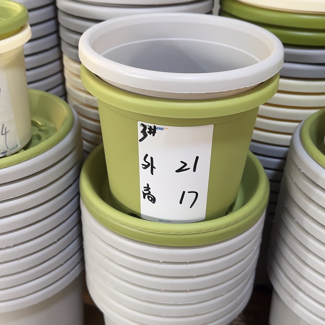 树脂四季3号10个，带托，颜色留言