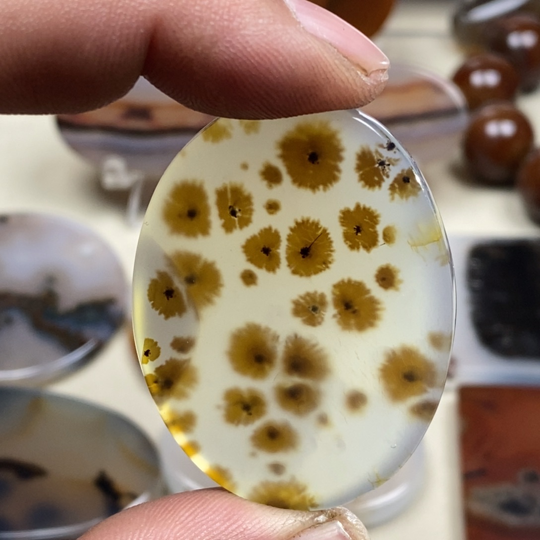 玛瑙/玉髓颈饰未镶嵌