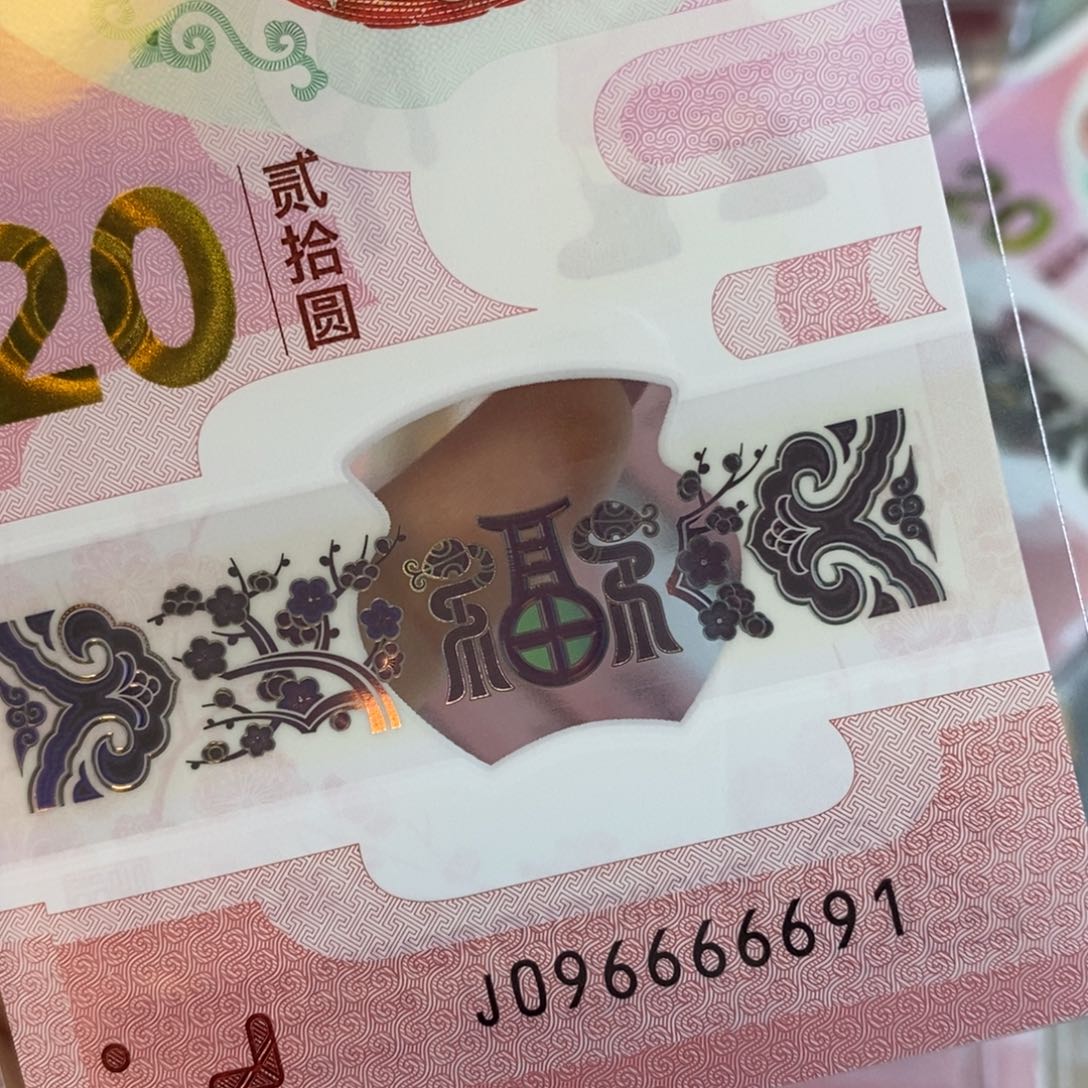 塑料6691……………………