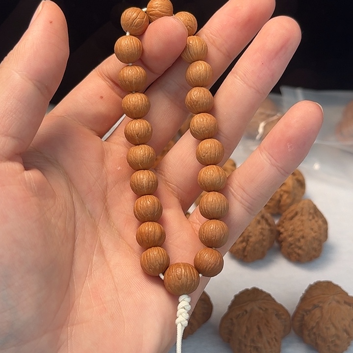 11+全品无修凤羽原皮猴头