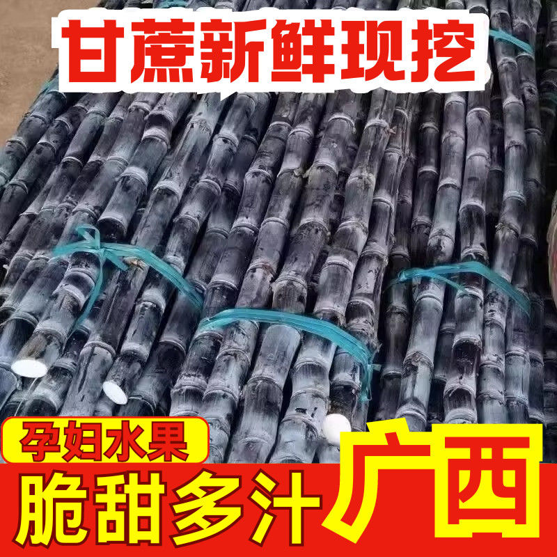 广西玉林黑皮甘蔗正宗整箱脆甜秋冬新款家庭装