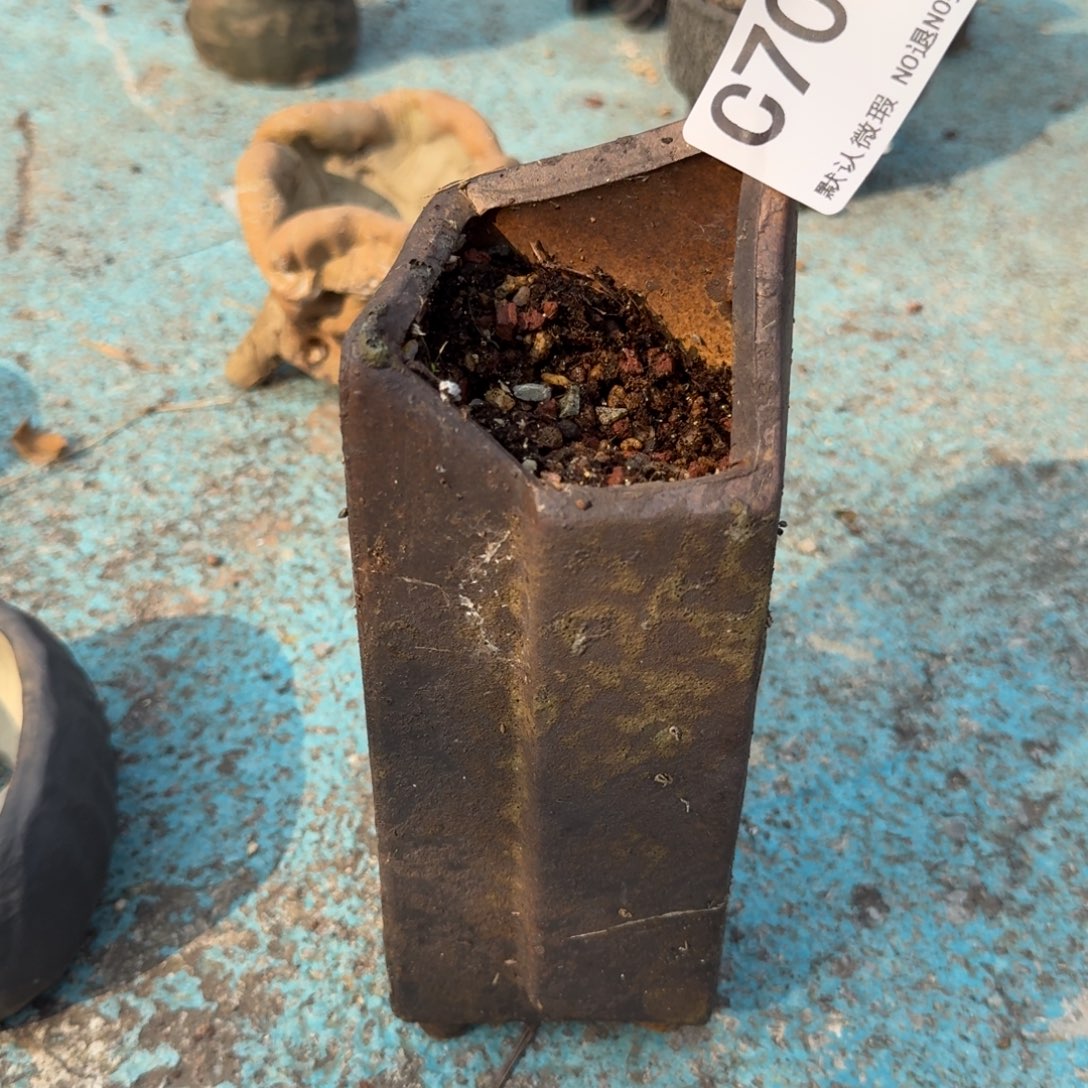 重庆小燕子欢迎大家陶瓷700