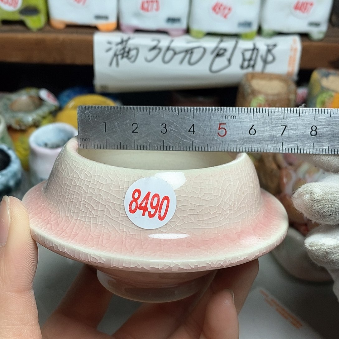 红陶拍5送一个小