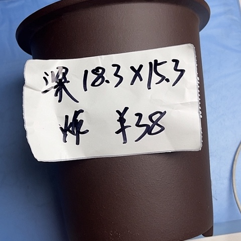 红陶紫砂2222222222