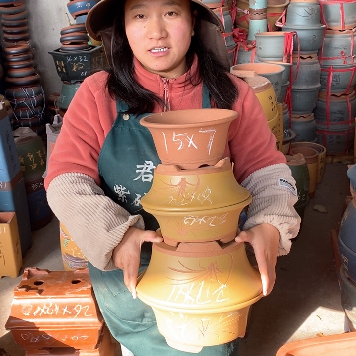 紫砂花盆盆栽花卉苗木种植