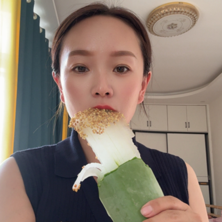 大叶片食用新鲜库拉索芦荟