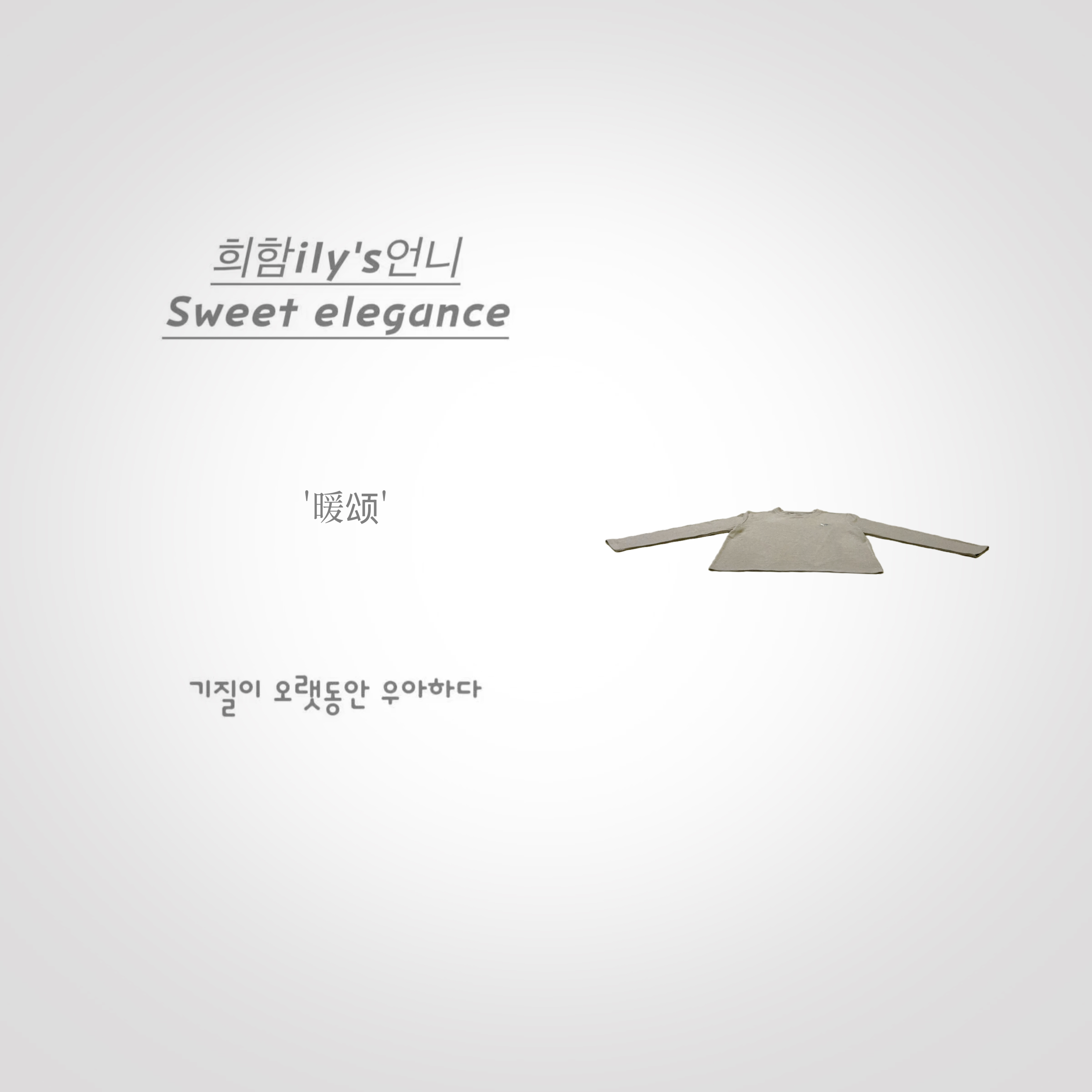 【暖颂】主播自留New.韩版ins风宽松舒适时尚百搭刺绣双面绒打底衫